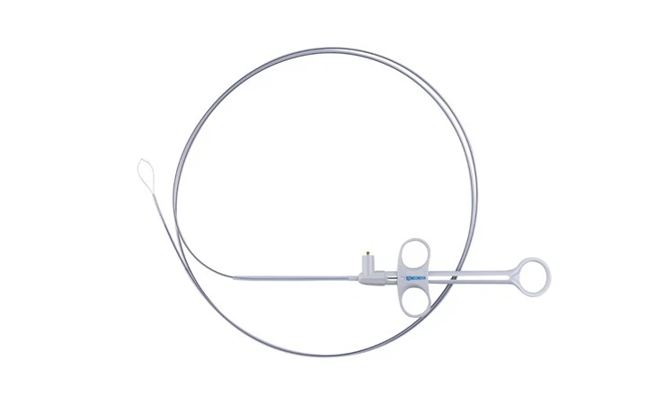 Cold Polyp Removal Snares